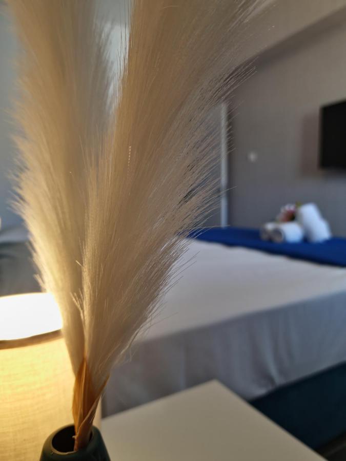 Carisa Deluxe Apartment With Jacuzzi Larnaca Exteriér fotografie